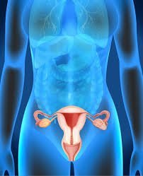 Uterine Prolapse Treatment in Mumbai | Naraya Healthcare