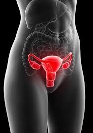 PCOS Treatment in Mumbai – Expert Women’s Care