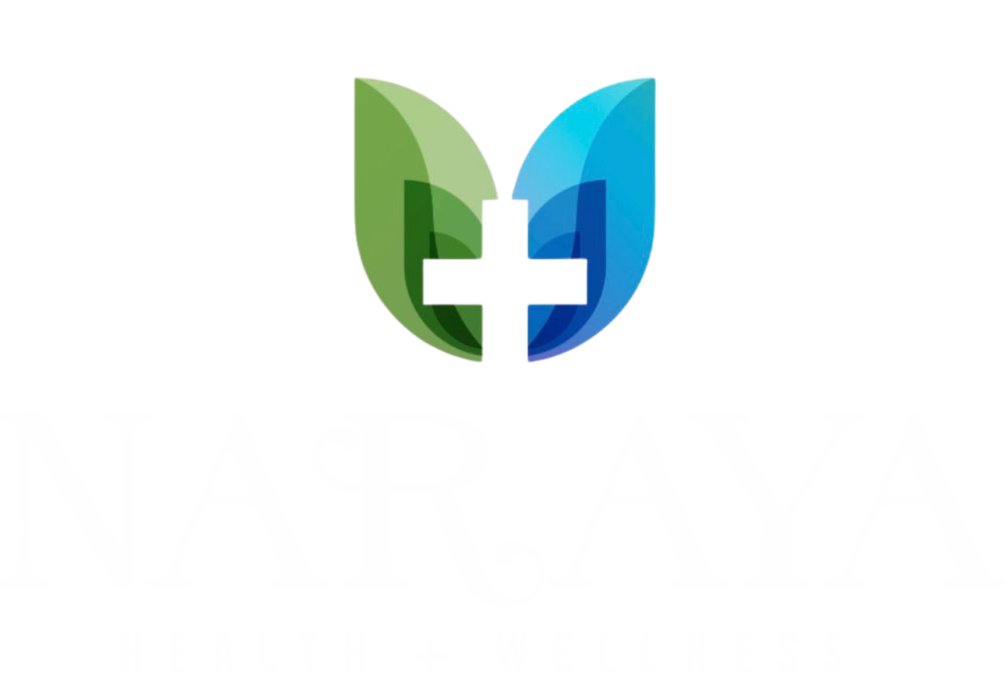 naraya logo white