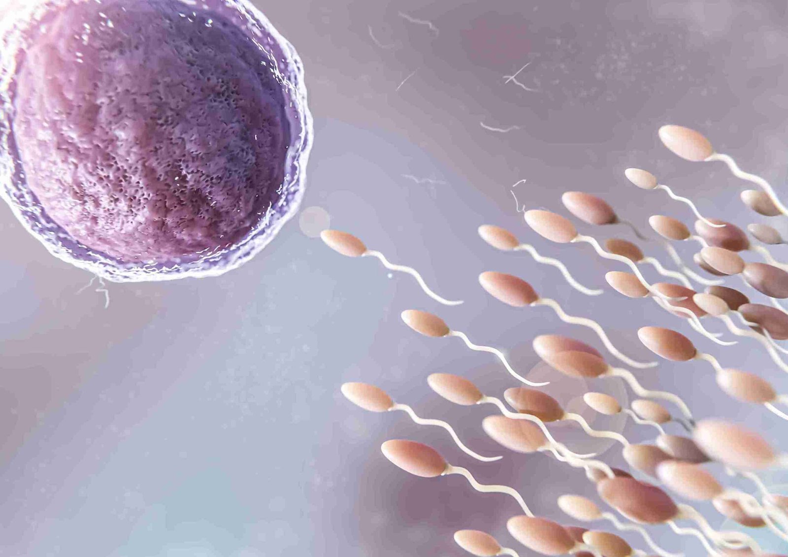 Donor eggs & sperm treatment in Mumbai, Intracytoplasmic sperm injection, ICSI procedure, ICSI success rate, ICSI cost in Mumbai, IVF with ICSI, Male infertility treatment, Personalized ICSI protocols, IVF success after ICSI