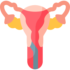 Uterine biopsy test for abnormal bleeding